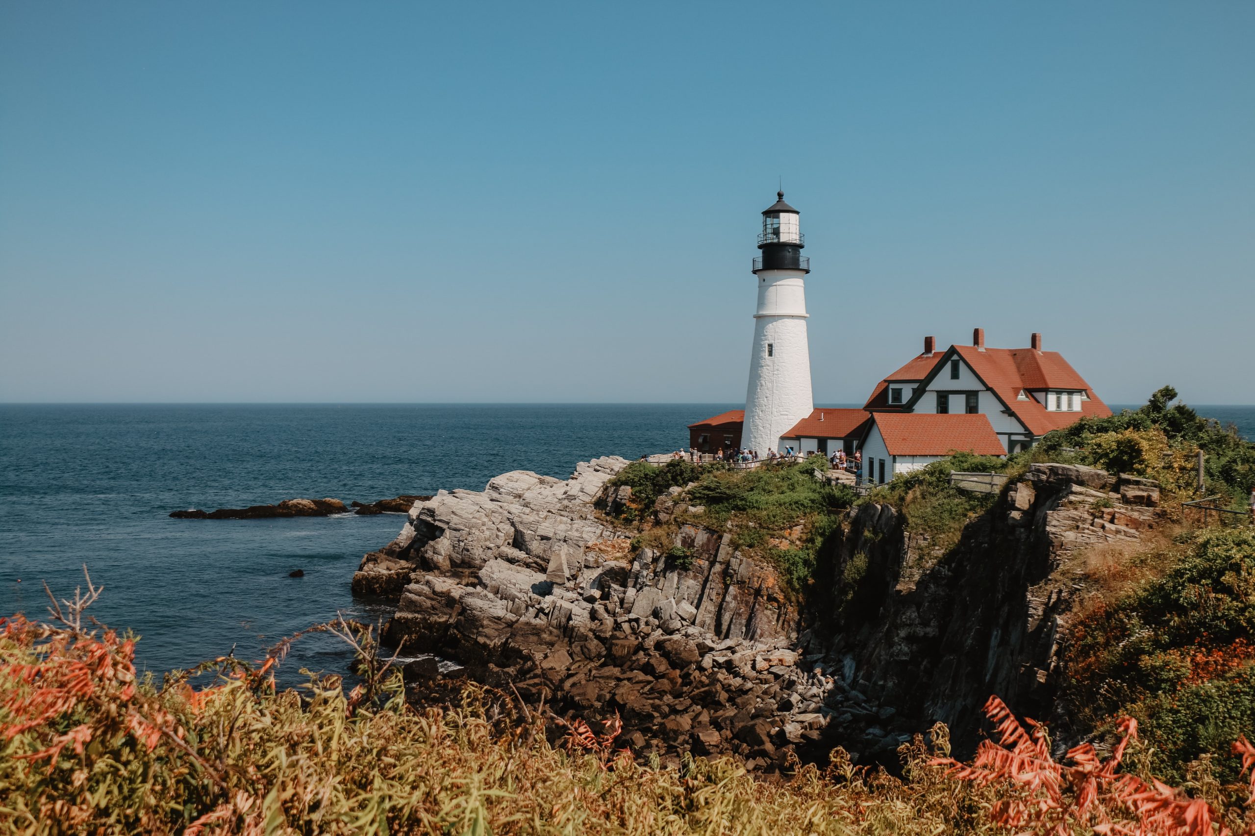 rene-porter-qm3a627dU8c-unsplash